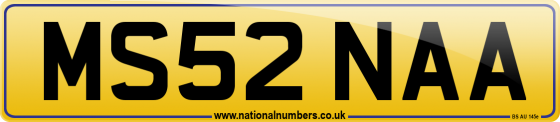 MS52 NAA