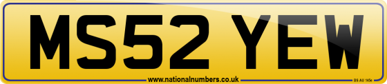 MS52 YEW
