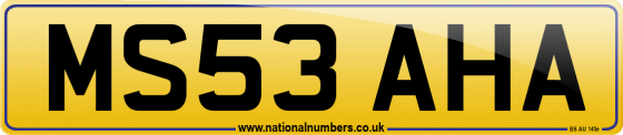 MS53 AHA