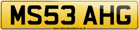 MS53 AHG