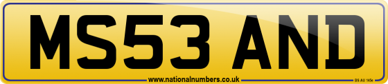MS53 AND