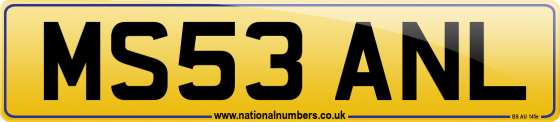 MS53 ANL