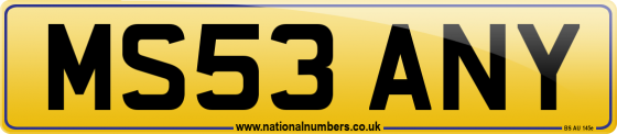 MS53 ANY