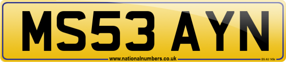 MS53 AYN