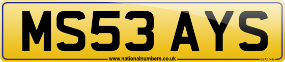 MS53 AYS