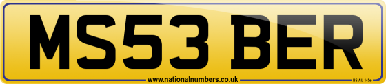 MS53 BER