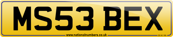 MS53 BEX