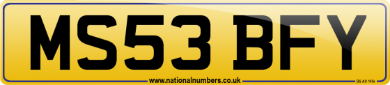 MS53 BFY
