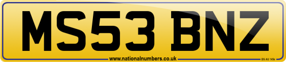 MS53 BNZ