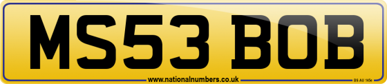 MS53 BOB