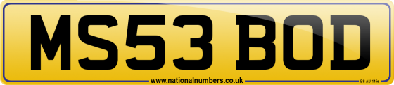 MS53 BOD