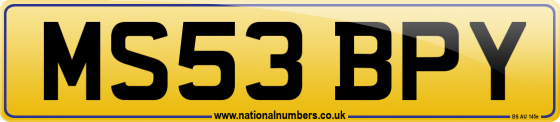 MS53 BPY