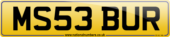 MS53 BUR