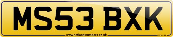 MS53 BXK