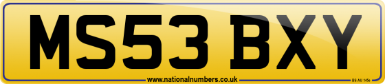 MS53 BXY