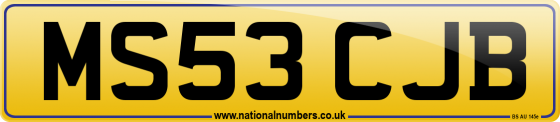 MS53 CJB