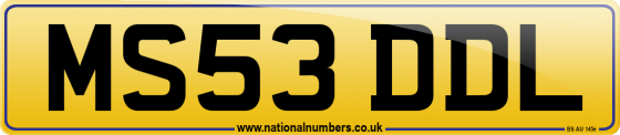 MS53 DDL
