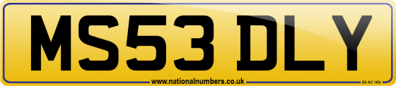 MS53 DLY