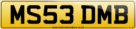 MS53 DMB