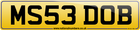 MS53 DOB