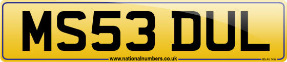 MS53 DUL