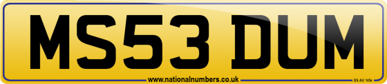MS53 DUM
