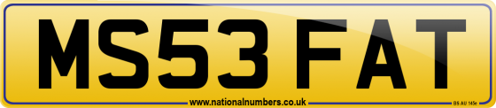 MS53 FAT