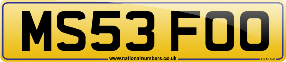 MS53 FOO