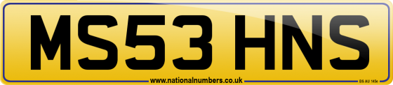 MS53 HNS