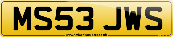 MS53 JWS
