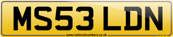 MS53 LDN
