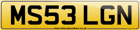 MS53 LGN