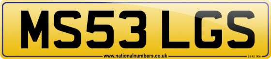 MS53 LGS