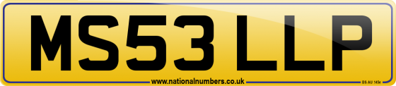 MS53 LLP
