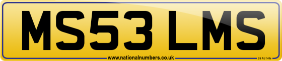 MS53 LMS