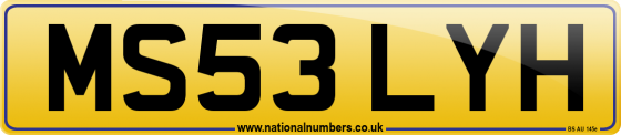 MS53 LYH