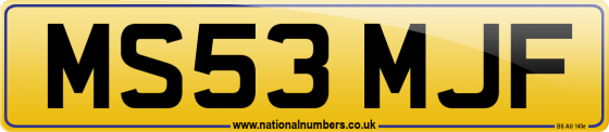 MS53 MJF