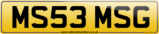 MS53 MSG