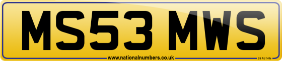MS53 MWS