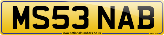 MS53 NAB