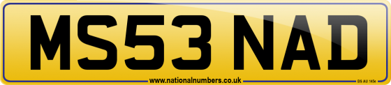 MS53 NAD