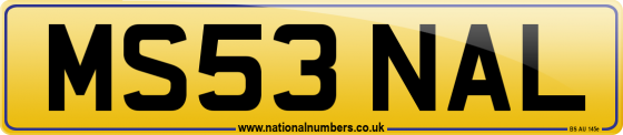 MS53 NAL