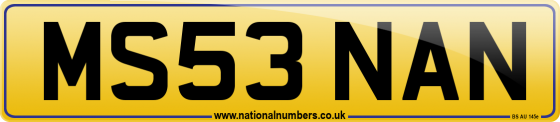 MS53 NAN