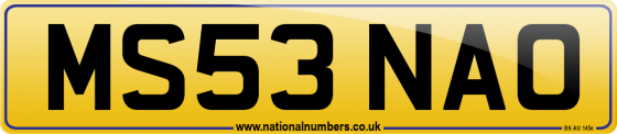 MS53 NAO