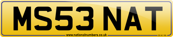 MS53 NAT