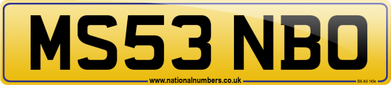 MS53 NBO