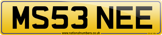 MS53 NEE