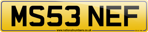 MS53 NEF