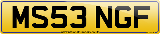 MS53 NGF