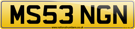 MS53 NGN